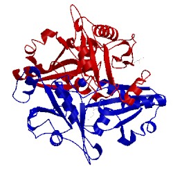 Image of CATH 2ed5