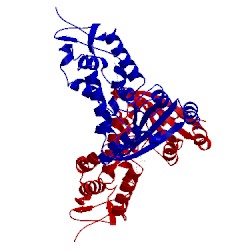 Image of CATH 2ef1