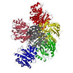 Image of CATH 2ef5