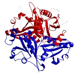 Image of CATH 2eh2