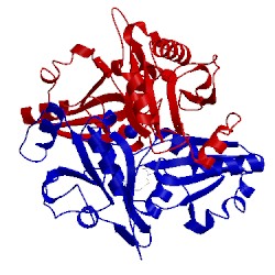 Image of CATH 2eh5