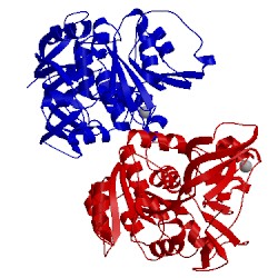 Image of CATH 2eih