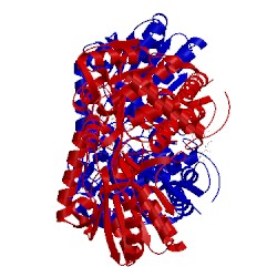 Image of CATH 2eii