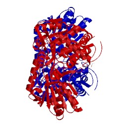 Image of CATH 2eit