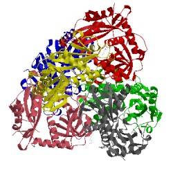 Image of CATH 2ej2