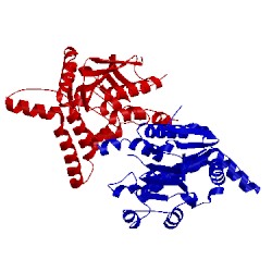 Image of CATH 2ej5