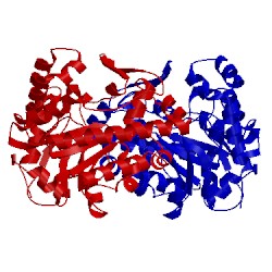 Image of CATH 2eja