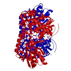Image of CATH 2ejd