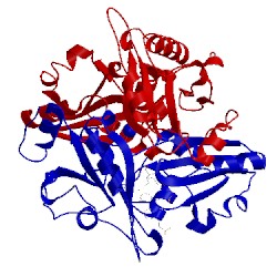 Image of CATH 2ejj