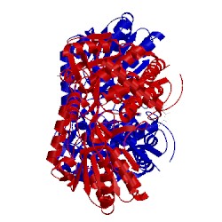 Image of CATH 2ejl