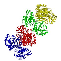 Image of CATH 2ejw