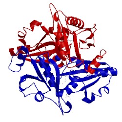 Image of CATH 2ejz