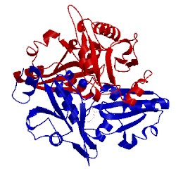 Image of CATH 2ek2