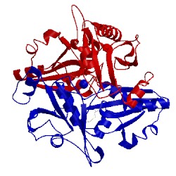 Image of CATH 2ek4