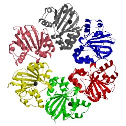 Image of CATH 2ekd