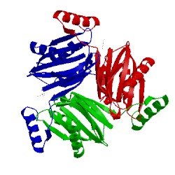 Image of CATH 2ekm
