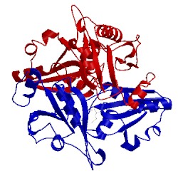 Image of CATH 2el0