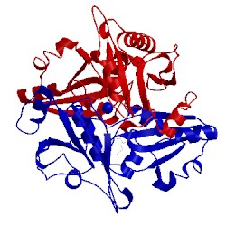Image of CATH 2el1