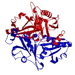 Image of CATH 2el2