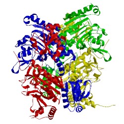 Image of CATH 2el9
