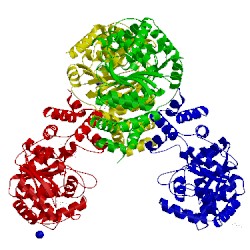 Image of CATH 2elc