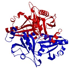 Image of CATH 2emu