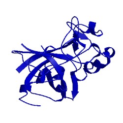 Image of CATH 2eng