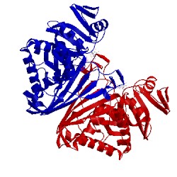 Image of CATH 2ep7