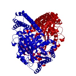 Image of CATH 2epn