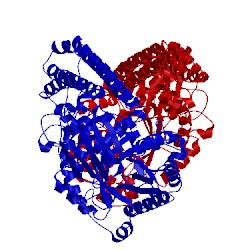 Image of CATH 2epo