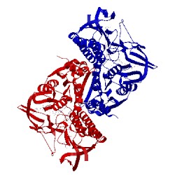 Image of CATH 2eq7