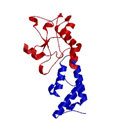 Image of CATH 2erh