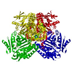 Image of CATH 2esd