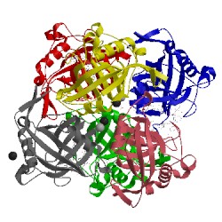 Image of CATH 2esl