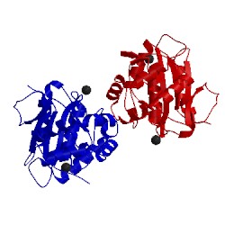 Image of CATH 2etl