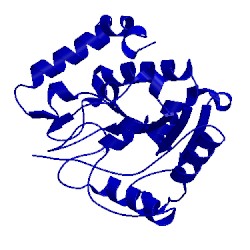 Image of CATH 2eug