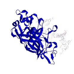 Image of CATH 2euv