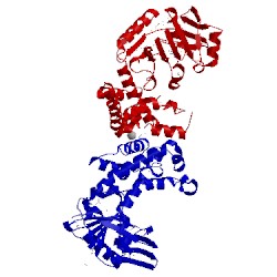 Image of CATH 2ew2