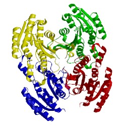 Image of CATH 2ew8