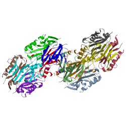 Image of CATH 2ewc