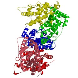 Image of CATH 2ewp