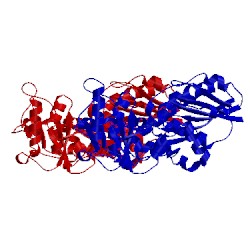Image of CATH 2ex0
