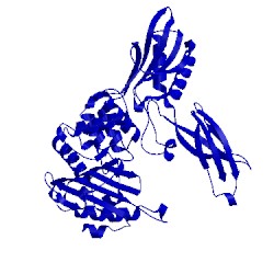 Image of CATH 2ex2