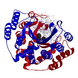 Image of CATH 2ex5
