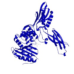 Image of CATH 2exa