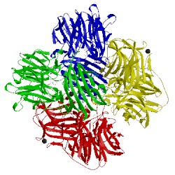 Image of CATH 2exj