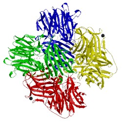 Image of CATH 2exk