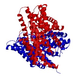 Image of CATH 2exw