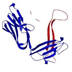 Image of CATH 2eyr