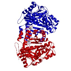 Image of CATH 2ez2